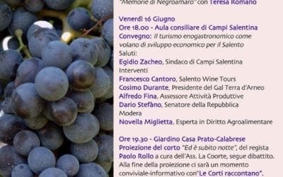 Oltre la vite: un viaggio tra arte, cultura ed enogastronomia