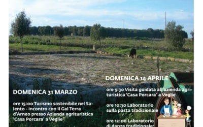 Andamento lento, tra terra e mare